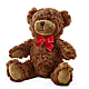 Adorable Plush Bear – Flowers Of Naples, Naples FL