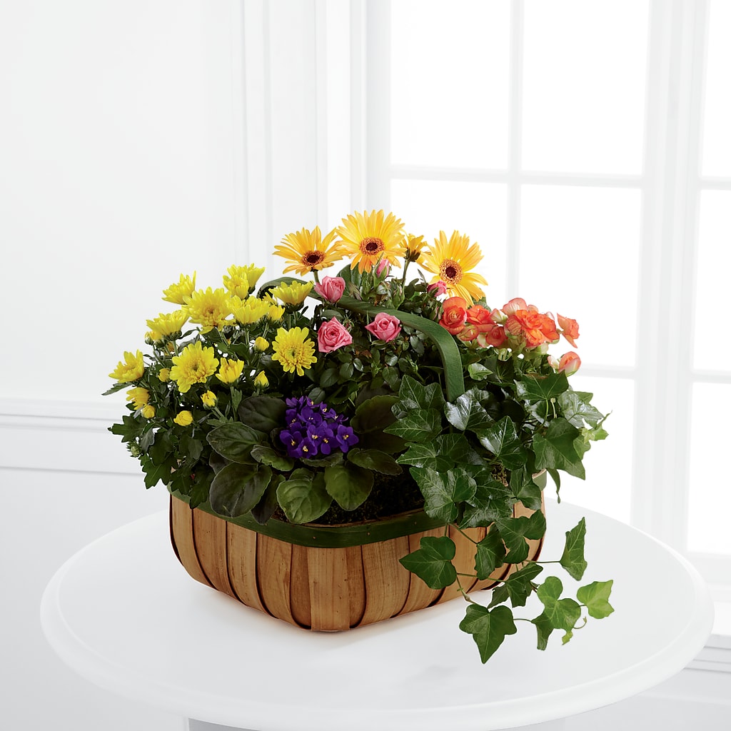 Gentle Blossoms Basket – Flowers Of Naples, Naples FL