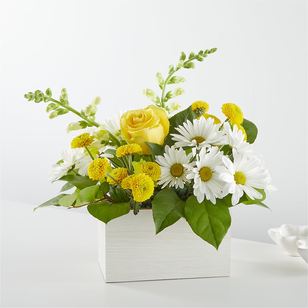 Sun Salutation Box Bouquet – Flowers Of Naples, Naples FL