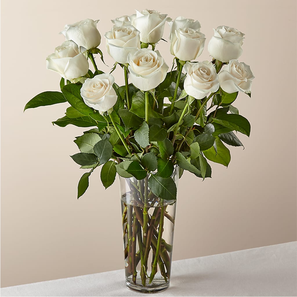 Long Stem White Rose Bouquet – Flowers Of Naples, Naples FL