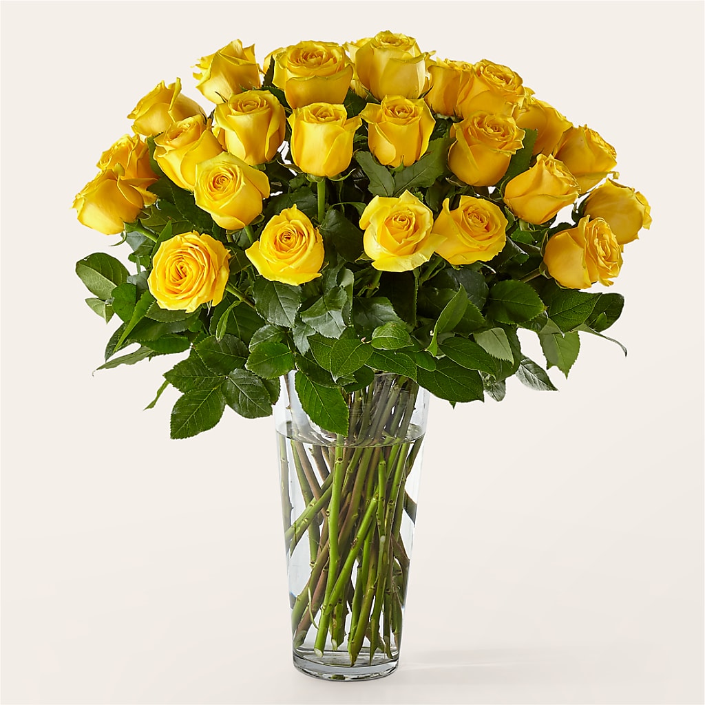 Long Stem Yellow Rose Bouquet – Flowers Of Naples, Naples FL