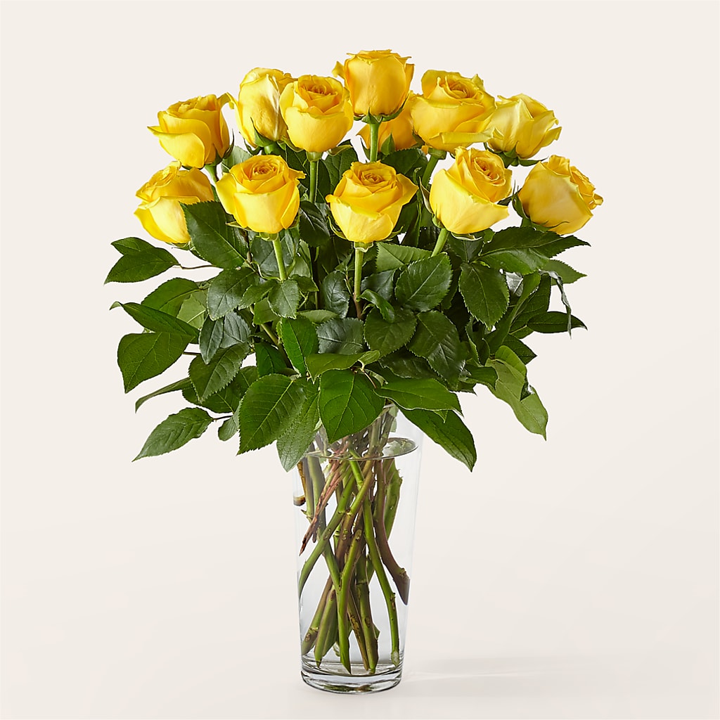 Long Stem Yellow Rose Bouquet – Flowers Of Naples, Naples FL