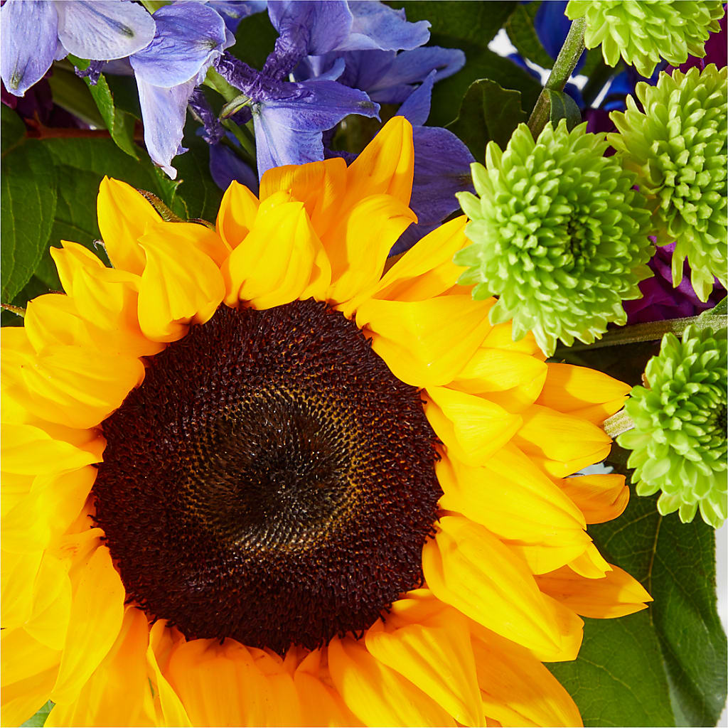 Catching Rays Bouquet – Flowers Of Naples, Naples FL