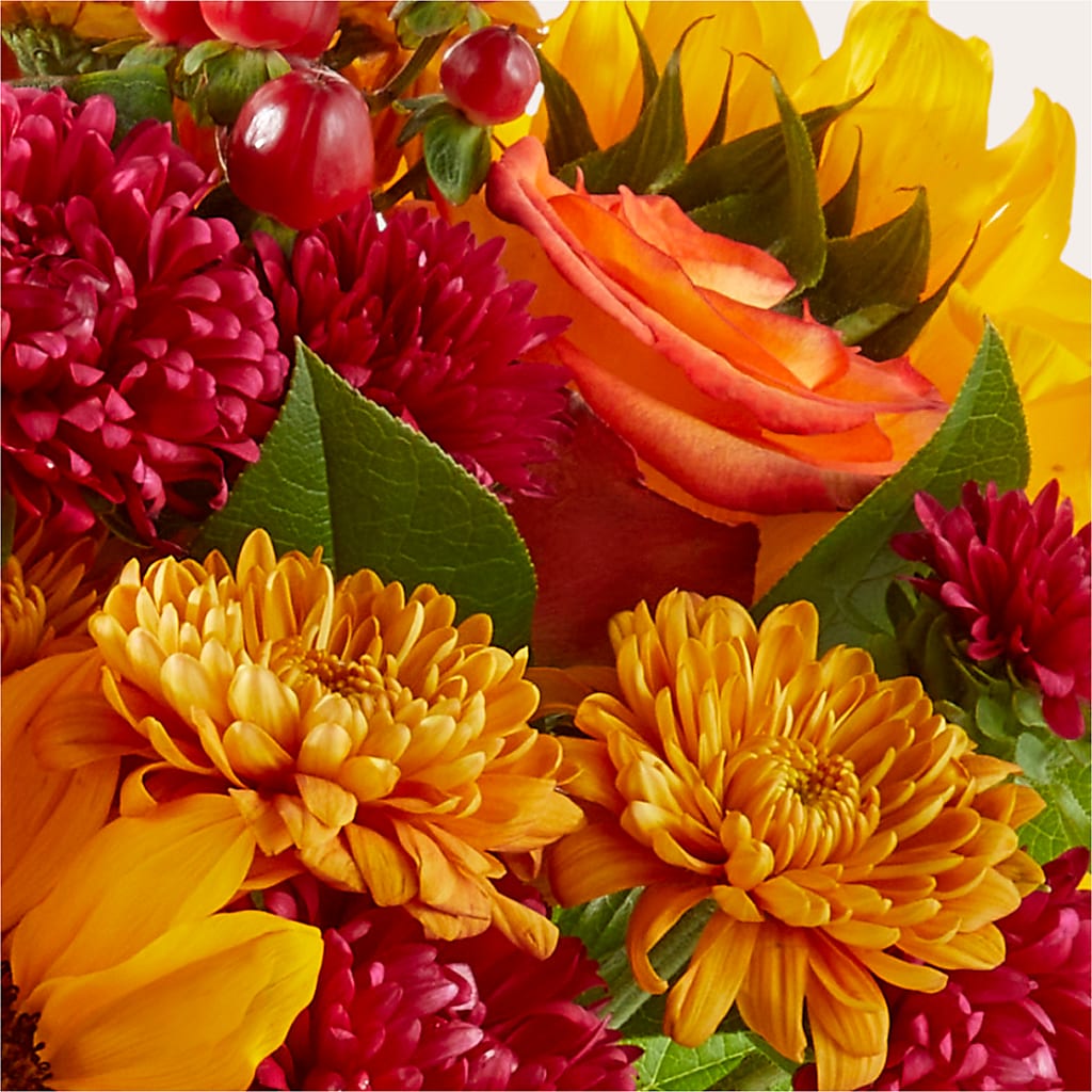 Sweater Season - A Florist Original – Flowers Of Naples, Naples FL