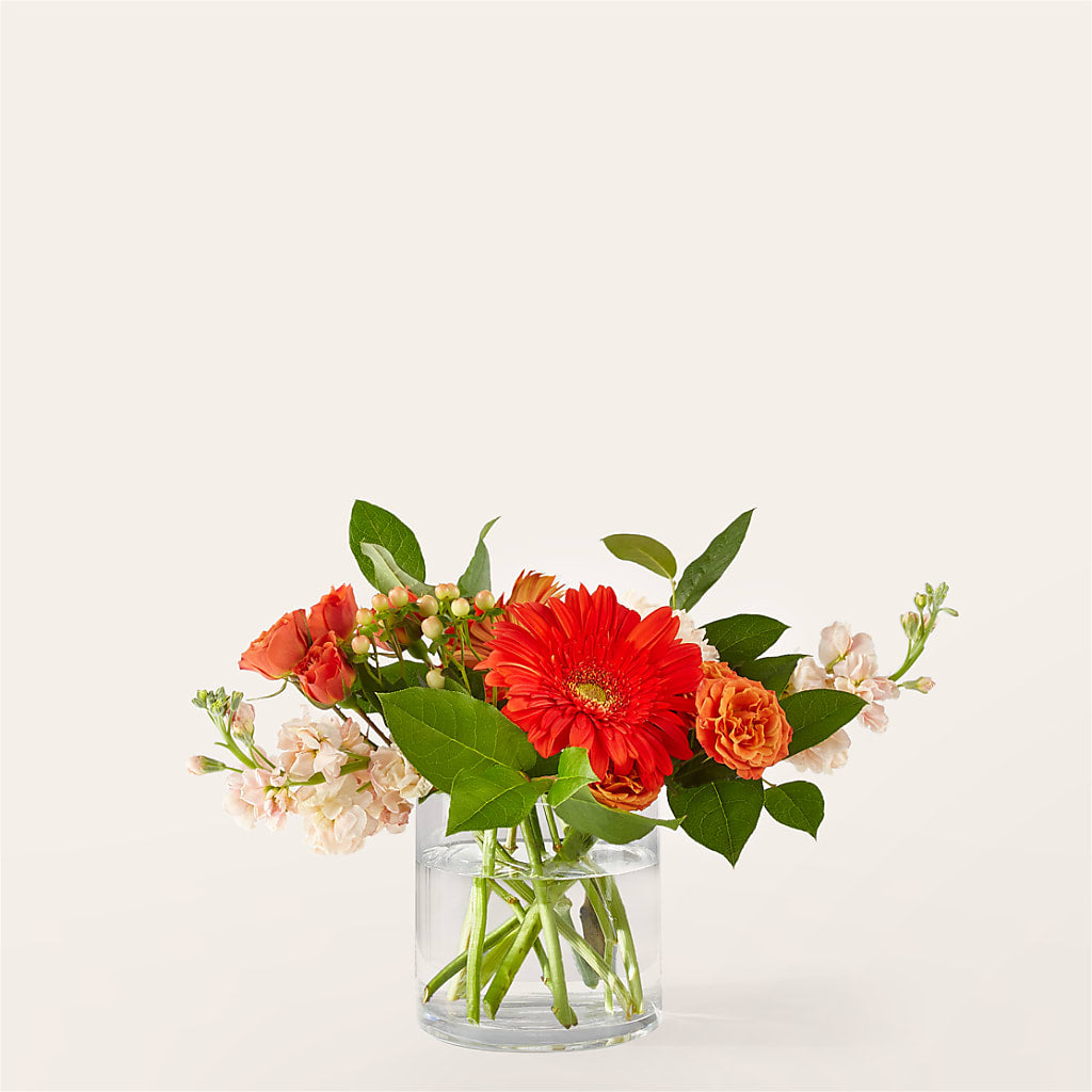 Paloma Please Bouquet – Flowers Of Naples, Naples FL