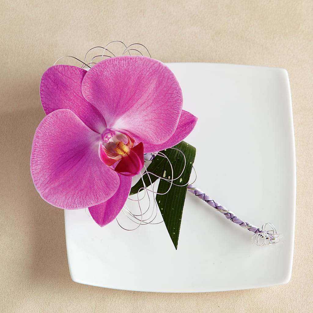 Glorious Boutonniere – Flowers Of Naples, Naples FL