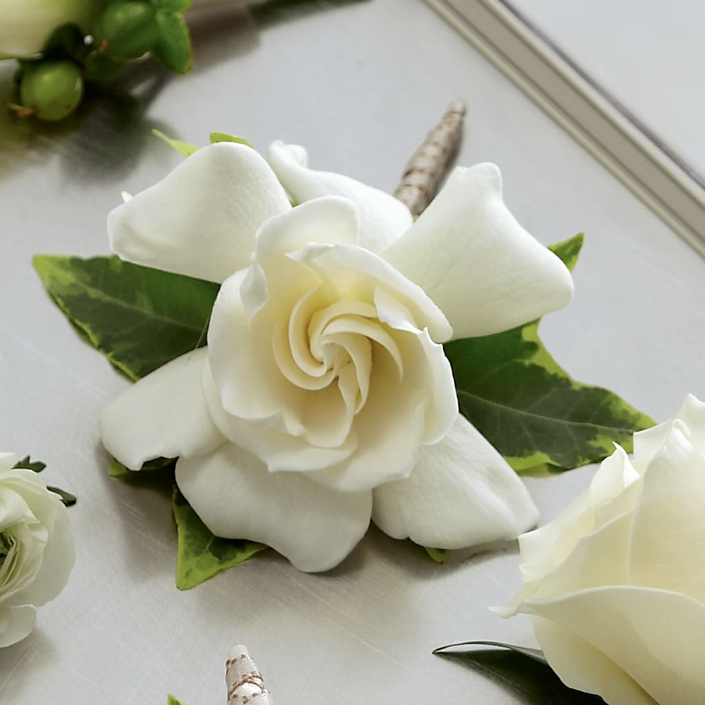 Gardenia Boutonniere – Flowers Of Naples, Naples FL