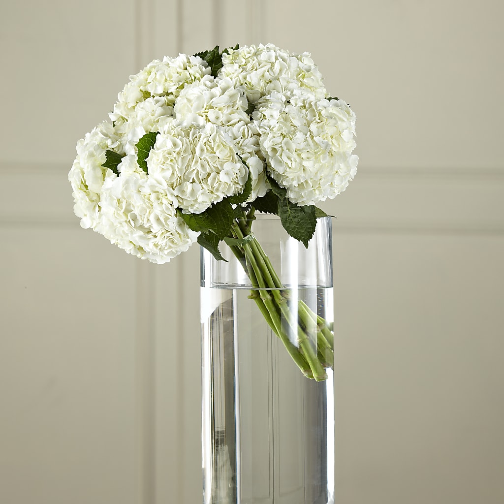 White Hydrangea Hand-Tied Bouquet – Flowers Of Naples, Naples FL