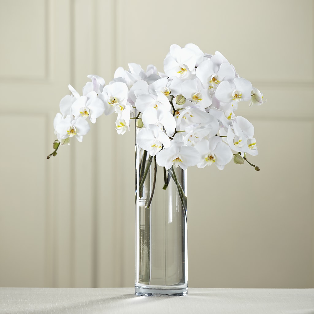 White Phalaenopsis Bouquet – Flowers Of Naples, Naples FL