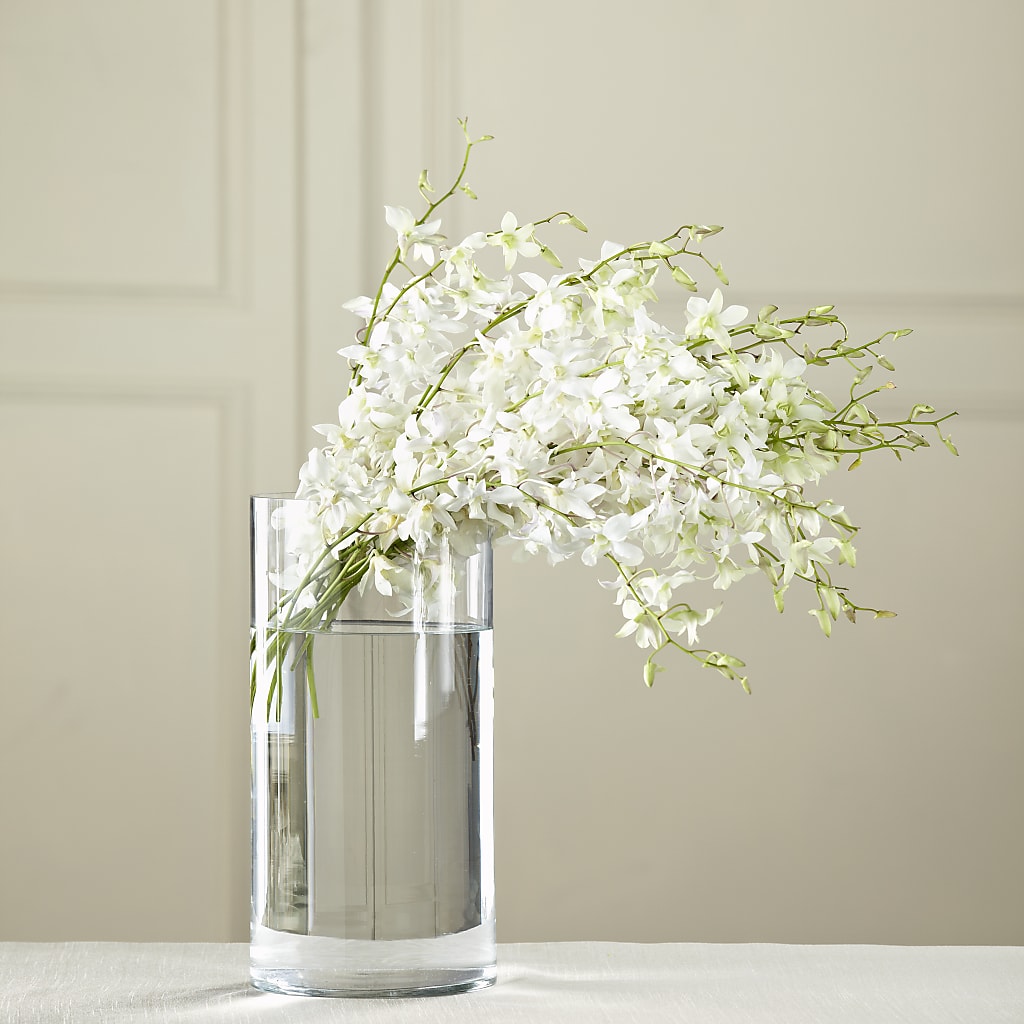 White Dendrobium Bouquet – Flowers Of Naples, Naples FL
