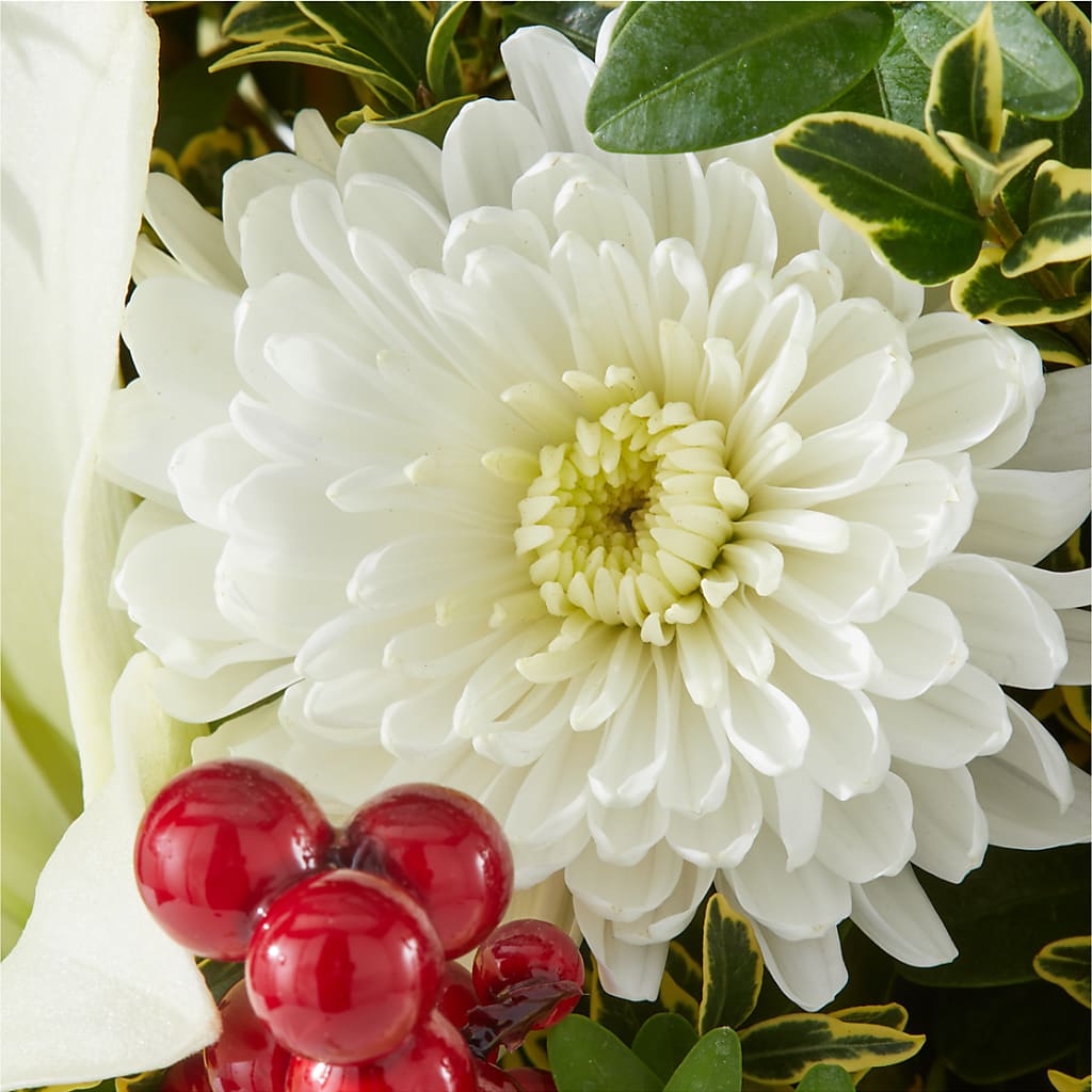 Festive Moments Tree –  Flowers Of Naples, Naples FL
