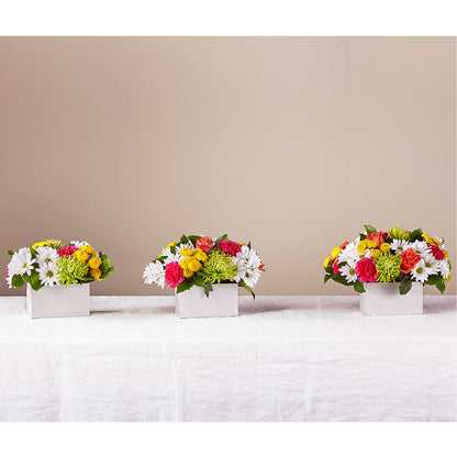 Sorbet Bouquet –  Flowers Of Naples, Naples FL