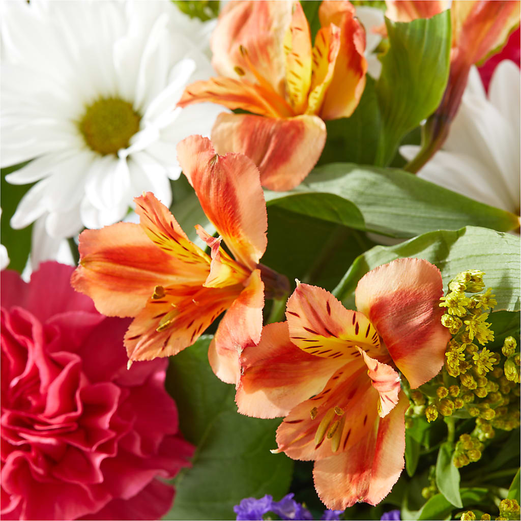 Oopsie Daisy Box Bouquet –  Flowers Of Naples, Naples FL