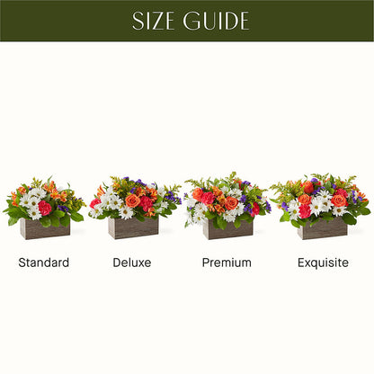 Oopsie Daisy Box Bouquet –  Flowers Of Naples, Naples FL