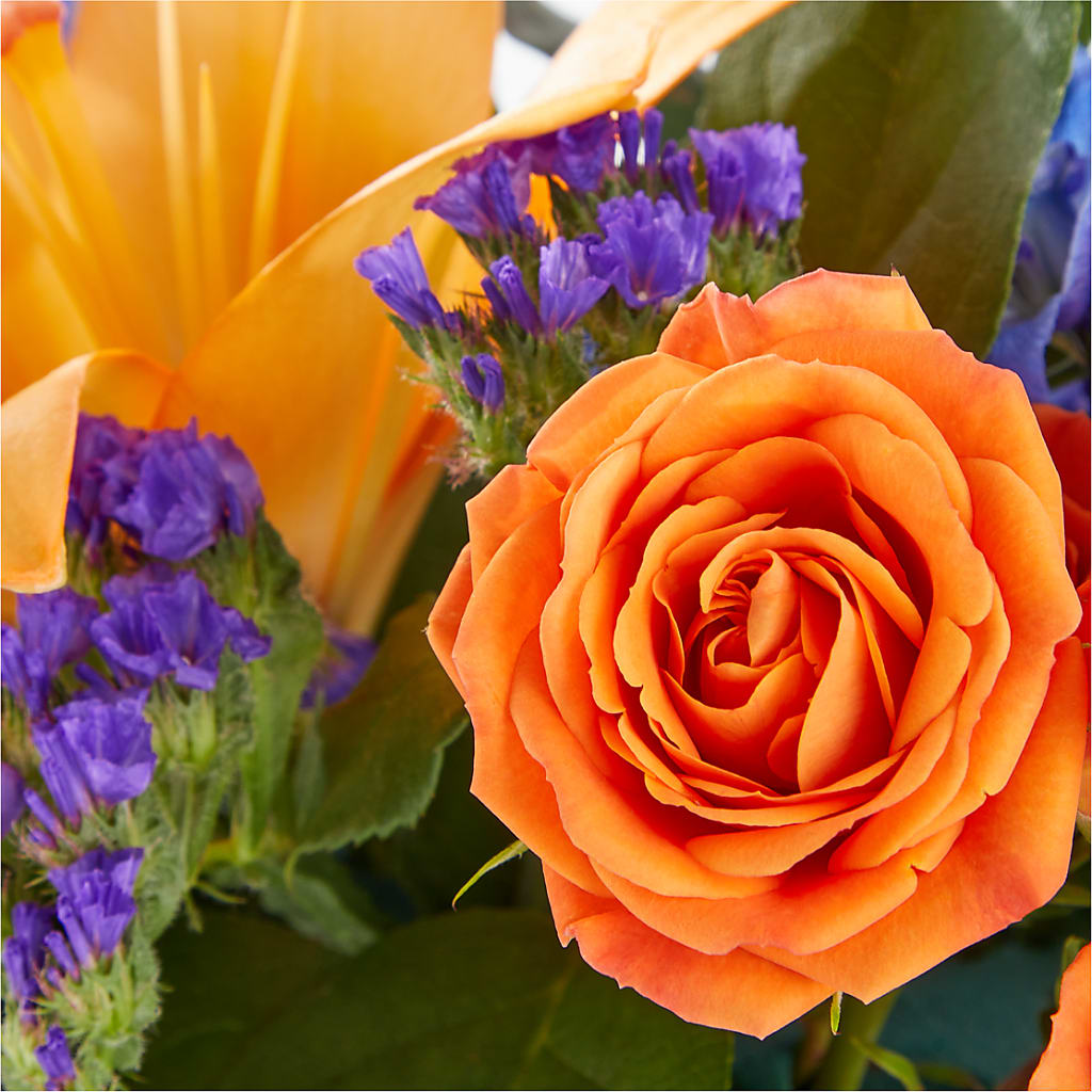 Radiant Citrus Box Bouquet –  Flowers Of Naples, Naples FL