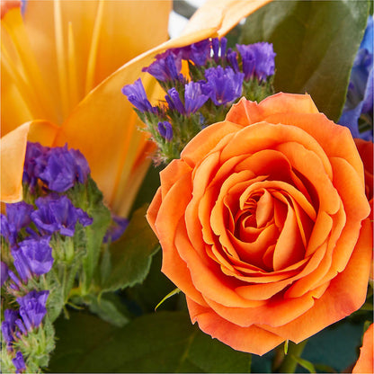 Radiant Citrus Box Bouquet –  Flowers Of Naples, Naples FL