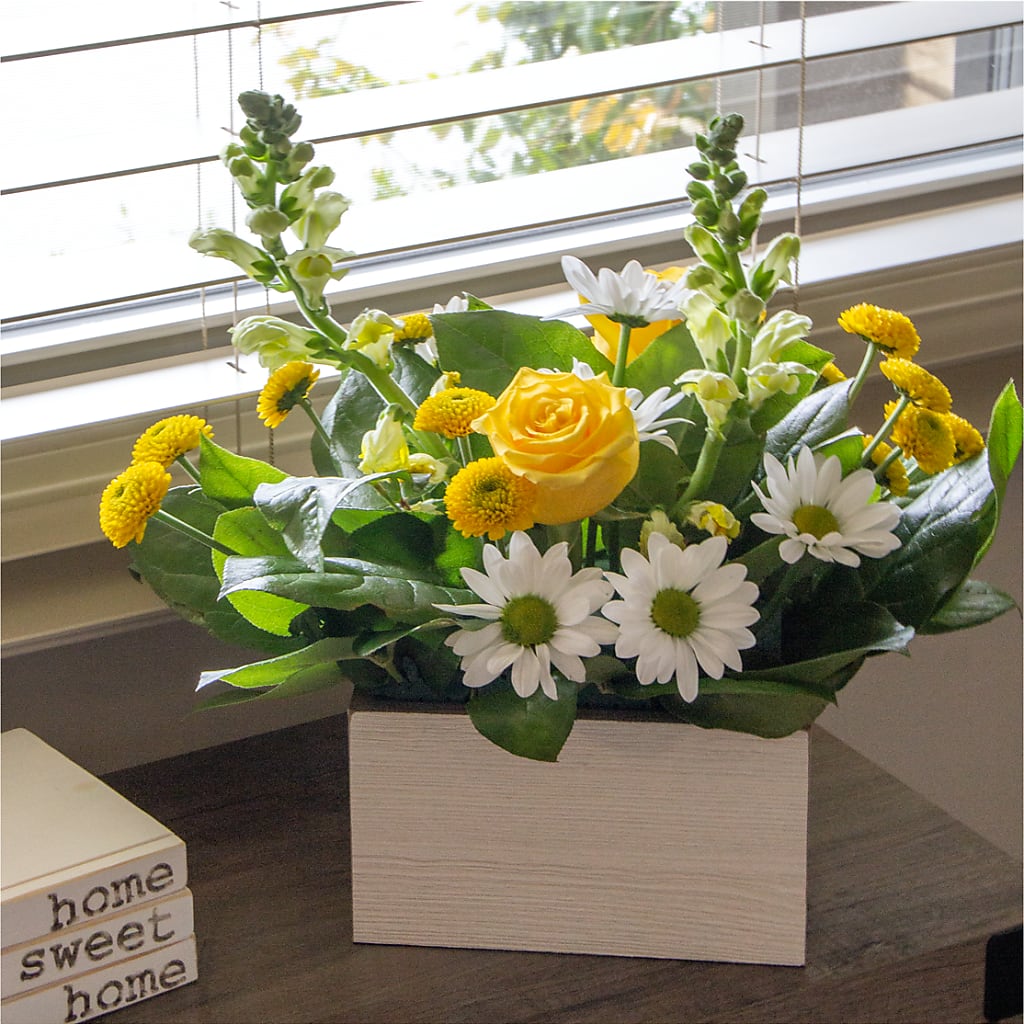 Sun Salutation Box Bouquet –  Flowers Of Naples, Naples FL