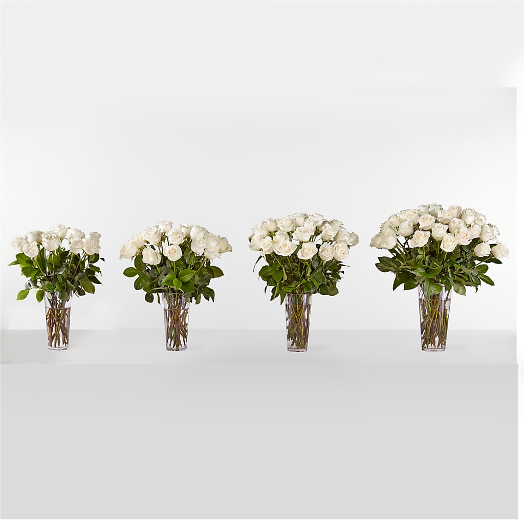 Long Stem White Rose Bouquet –  Flowers Of Naples, Naples FL