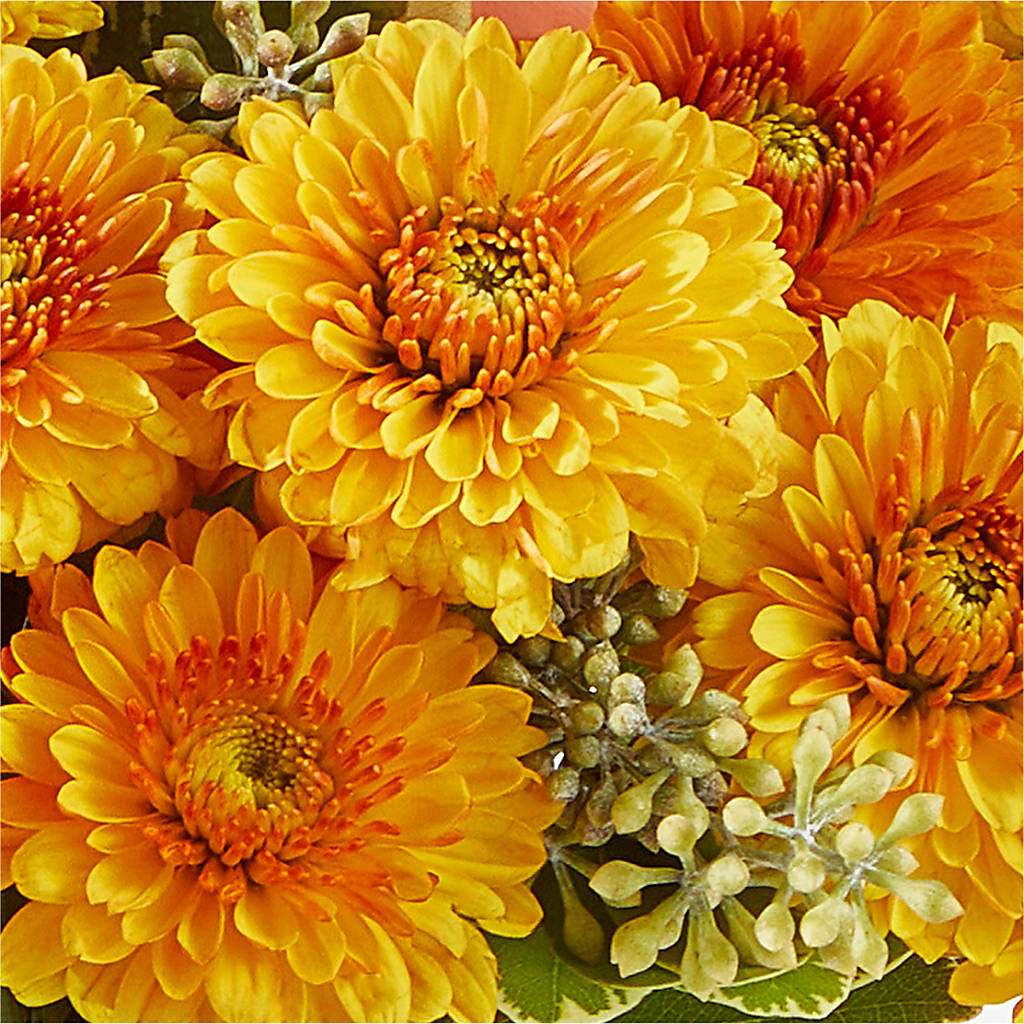 Peachy Pumpkin –  Flowers Of Naples, Naples FL