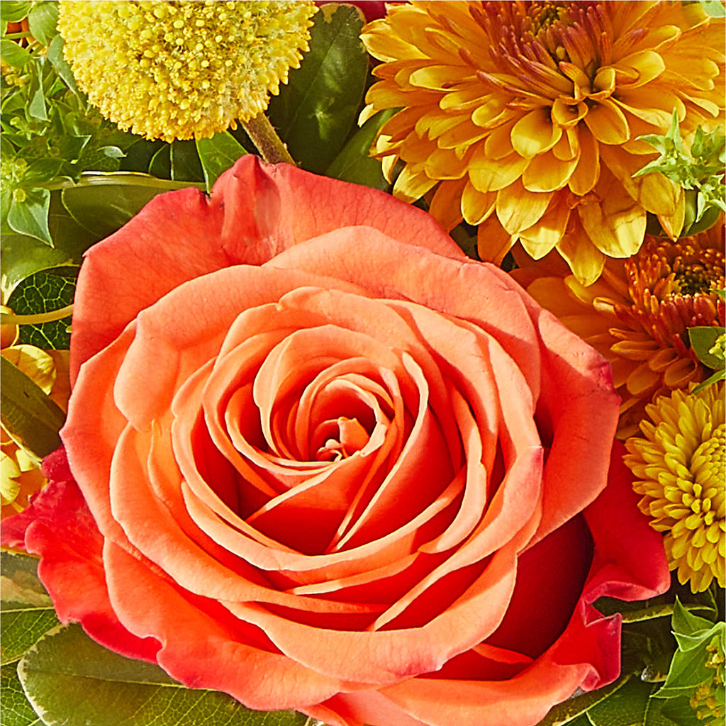 Gourdgeous Pumpkin –  Flowers Of Naples, Naples FL