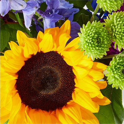 Catching Rays Bouquet –  Flowers Of Naples, Naples FL