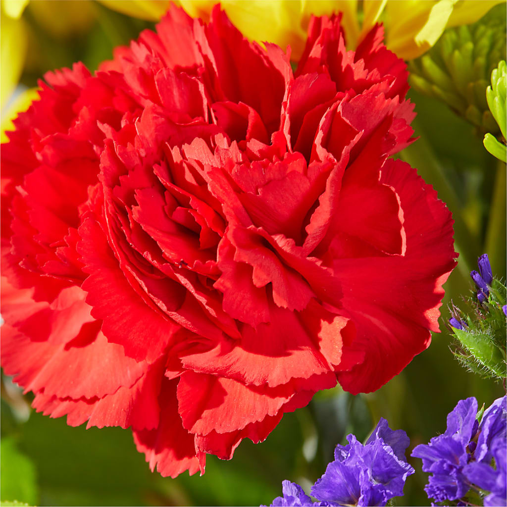 Brighter Days Bouquet –  Flowers Of Naples, Naples FL