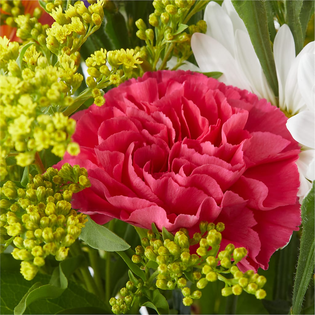 Oopsie Daisy Bouquet –  Flowers Of Naples, Naples FL
