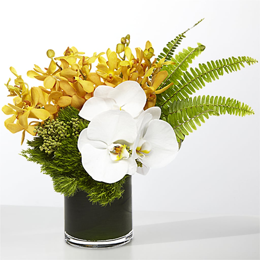 The Tropics –  Flowers Of Naples, Naples FL