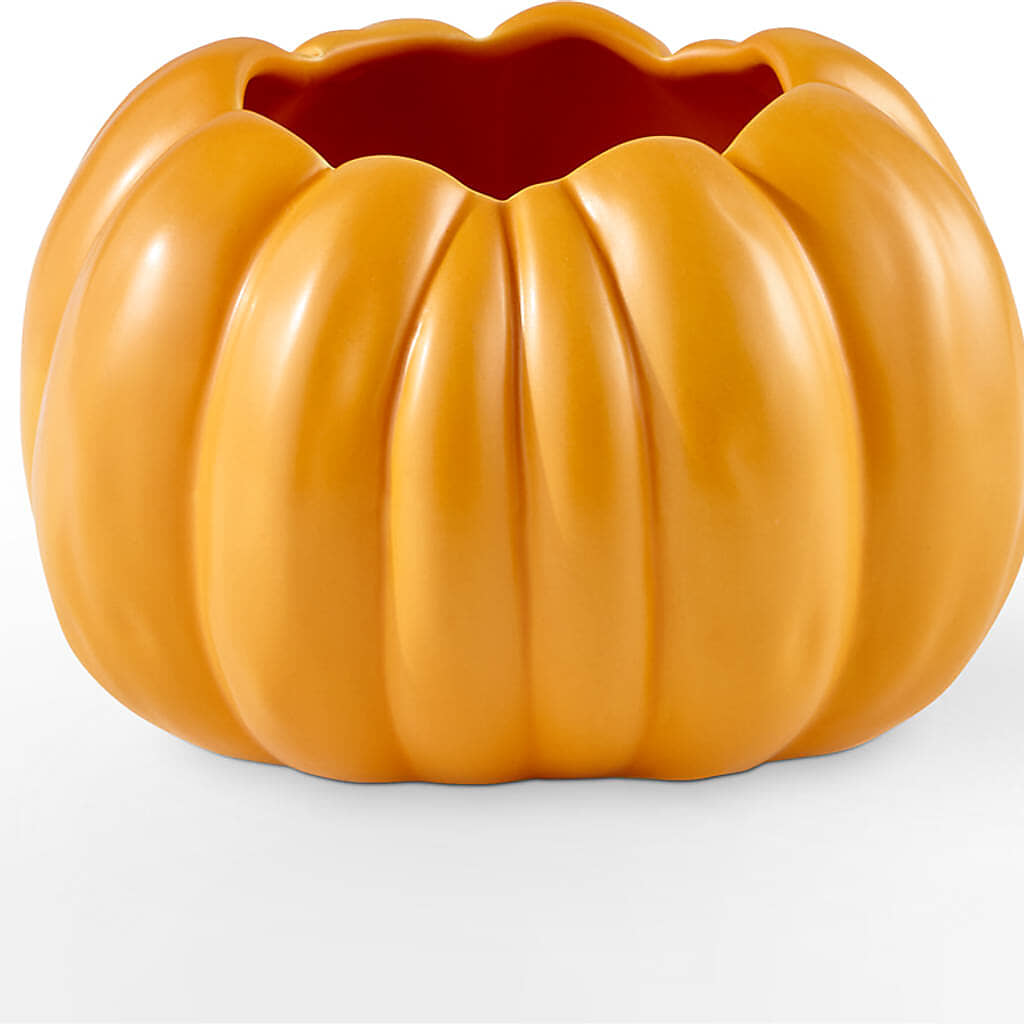Golden Gourd Pumpkin Bouquet –  Flowers Of Naples, Naples FL