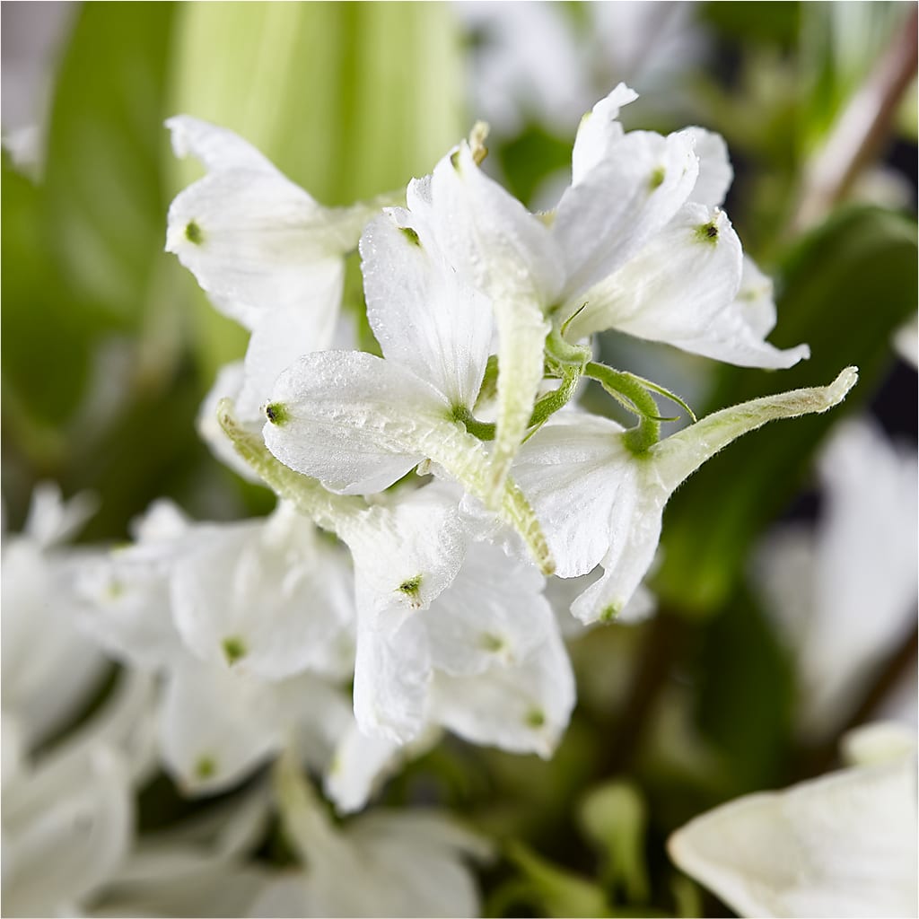 Classic Ivory – A Florist Original –  Flowers Of Naples, Naples FL