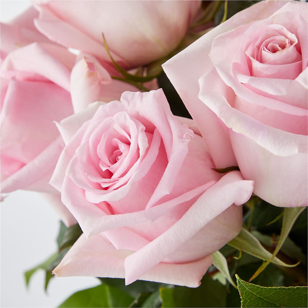 Picture Perfect Pink Rose Bouquet –  Flowers Of Naples, Naples FL