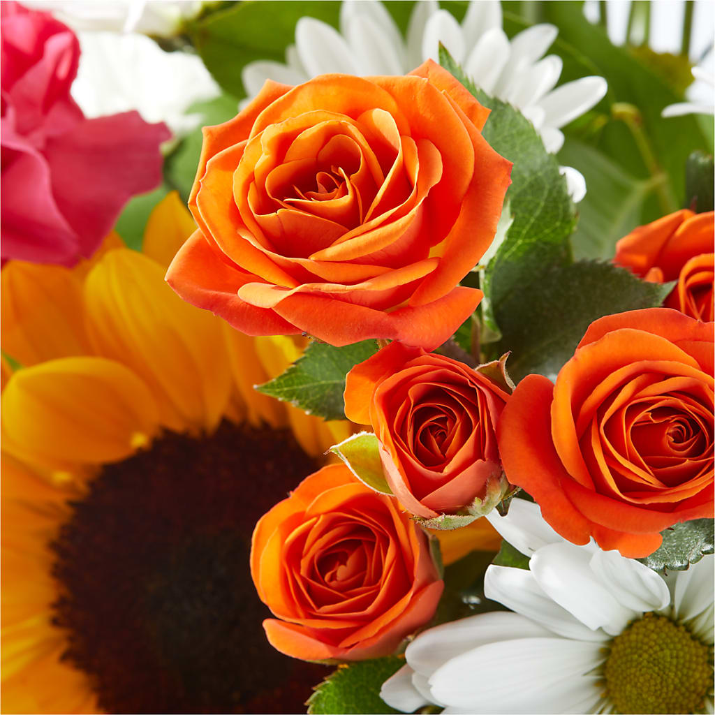 Sun-drenched Blooms Bouquet –  Flowers Of Naples, Naples FL