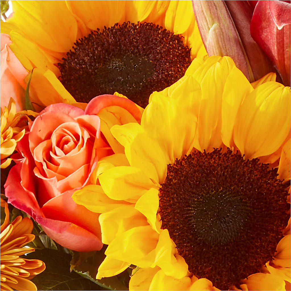 Acorn Lane Bouquet –  Flowers Of Naples, Naples FL