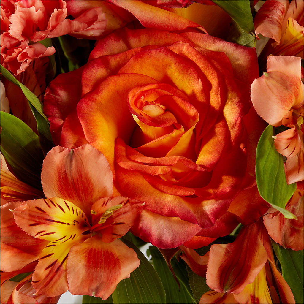 Apricot Glow Bouquet –  Flowers Of Naples, Naples FL