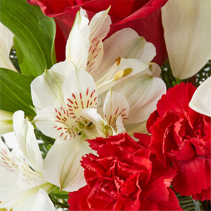 Holiday Season Bouquet –  Flowers Of Naples, Naples FL
