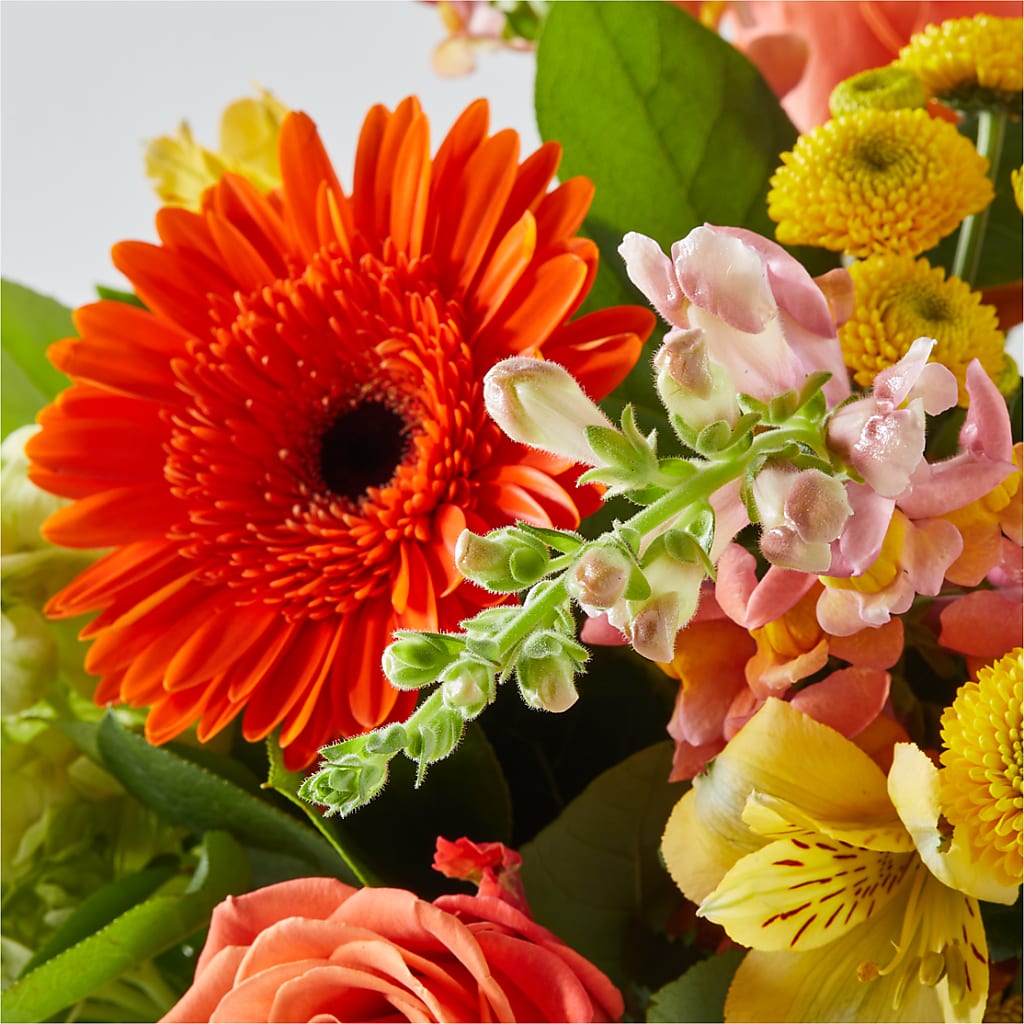 Autumn Sunshine Bouquet –  Flowers Of Naples, Naples FL