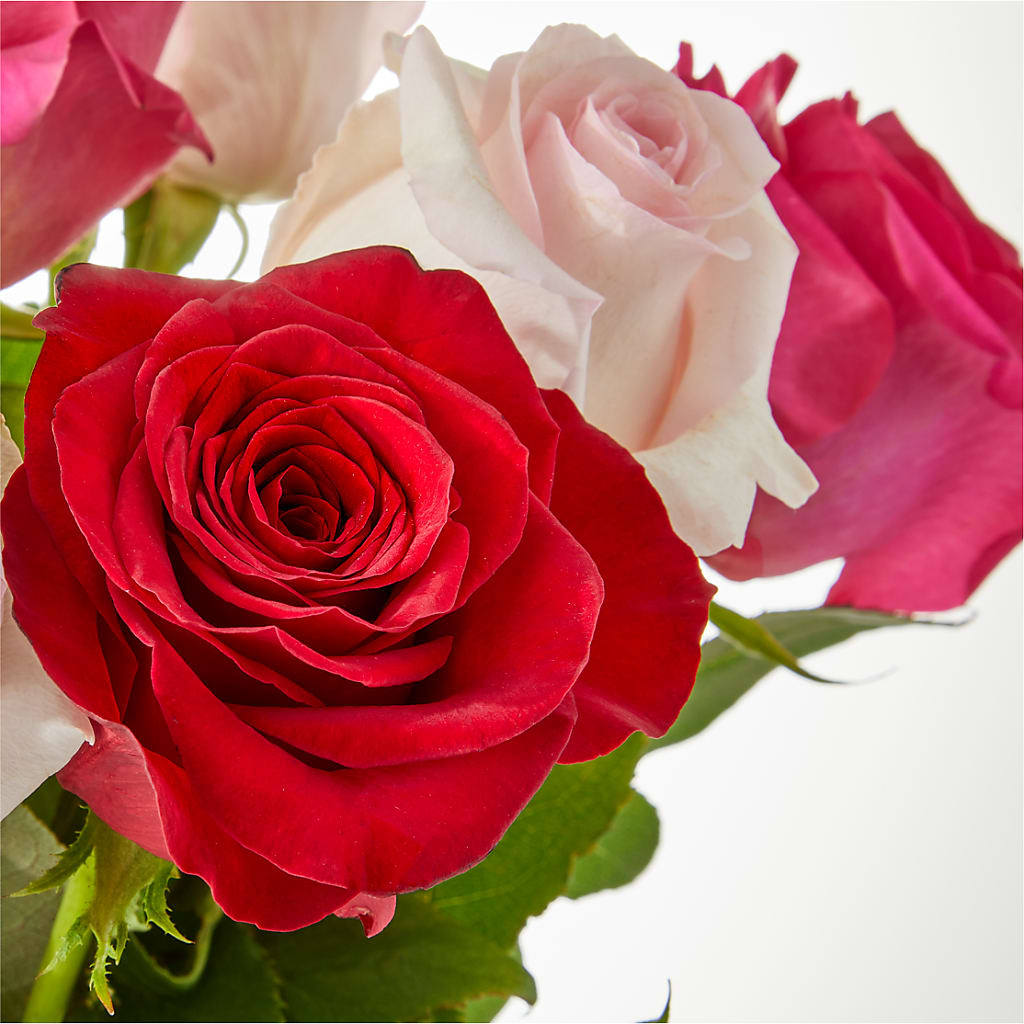 Charming Rose Bouquet –  Flowers Of Naples, Naples FL