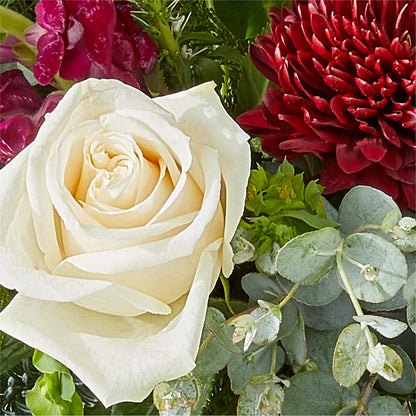 Cranberry Fizz Bouquet –  Flowers Of Naples, Naples FL