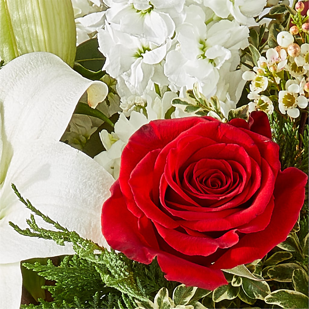 Twinkle Lights Bouquet –  Flowers Of Naples, Naples FL