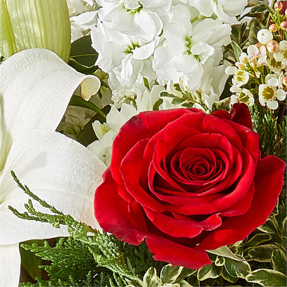 Twinkle Lights Bouquet –  Flowers Of Naples, Naples FL