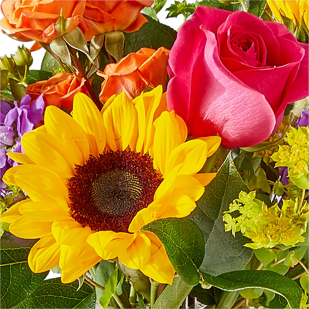 Vibrant Greetings Bouquet –  Flowers Of Naples, Naples FL