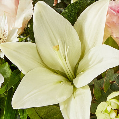 Ballet Slippers Bouquet –  Flowers Of Naples, Naples FL