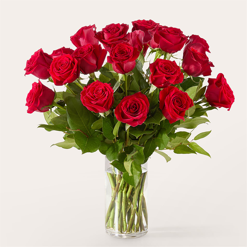 The One Red Rose Bouquet –  Flowers Of Naples, Naples FL