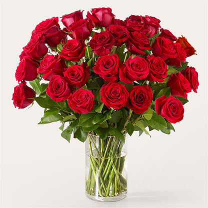 The One Red Rose Bouquet –  Flowers Of Naples, Naples FL