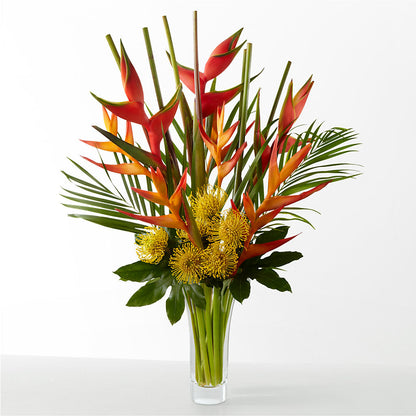 The Drama –  Flowers Of Naples, Naples FL