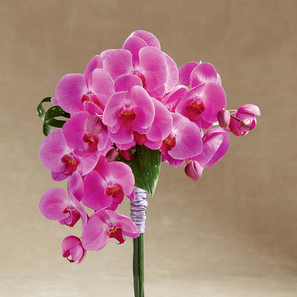 Glorious Bouquet –  Flowers Of Naples, Naples FL