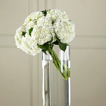 White Hydrangea Hand-Tied Bouquet –  Flowers Of Naples, Naples FL