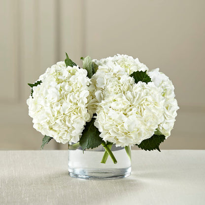 White Hydrangea Bouquet –  Flowers Of Naples, Naples FL